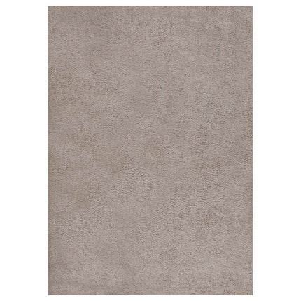 Tapis Shaggy À Poils Longs