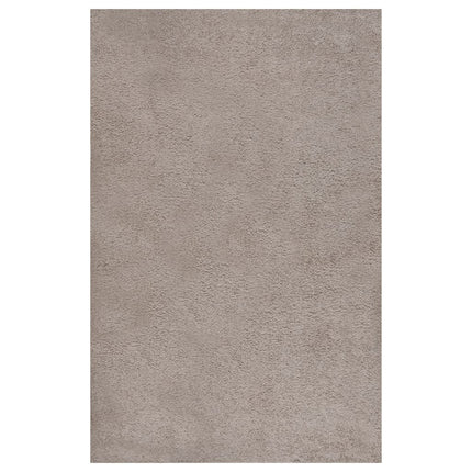 Tapis Shaggy À Poils Longs
