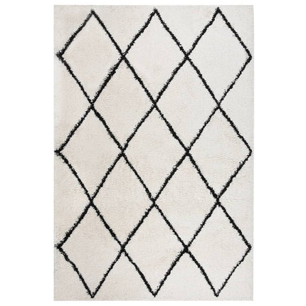 Tapis Shaggy À Poils Longs