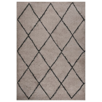 Tapis Shaggy À Poils Longs