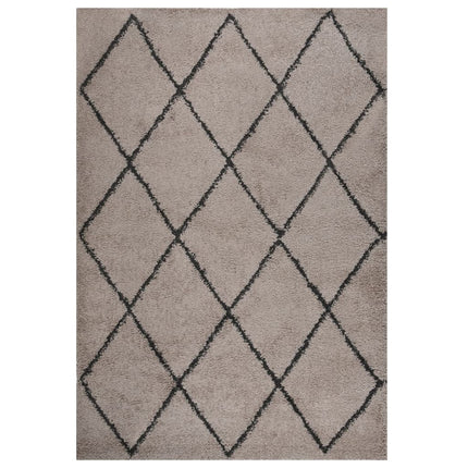 Tapis Shaggy À Poils Longs