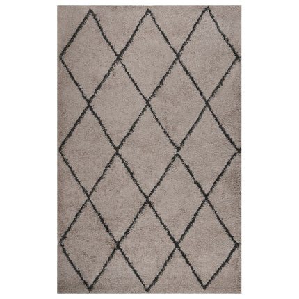 Tapis Shaggy À Poils Longs