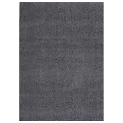 Tapis Lavable À Poils Courts Doux Et Moelleux Antidérapant