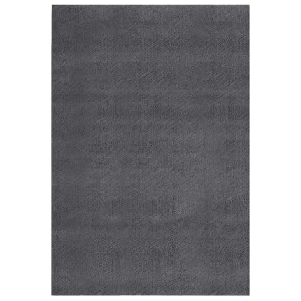 Tapis Lavable À Poils Courts Doux Et Moelleux Antidérapant