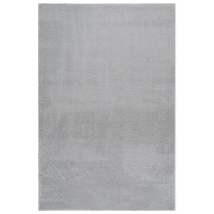 Tapis Lavable À Poils Courts Doux Et Moelleux Antidérapant