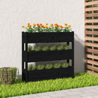 Jardinière Bois Massif De Pin