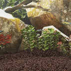 Rouge / 5-8 mm (25 kg)