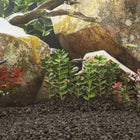 Gravier De Basalte 25 Kg Noir 3-5 Mm