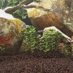 Rouge / 5-8 mm (25 kg)