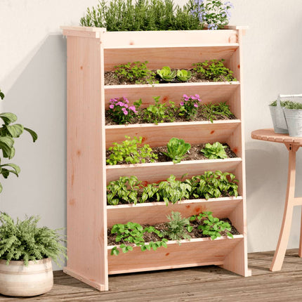 Jardinière De Plantes Aromatiques 6 Niveaux Bois Douglas Massif
