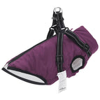 Violet / l28