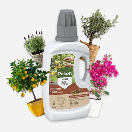 Alleu Pokon - Engrais Liquide Pour Plantes Méditerranéennes - 500 Ml