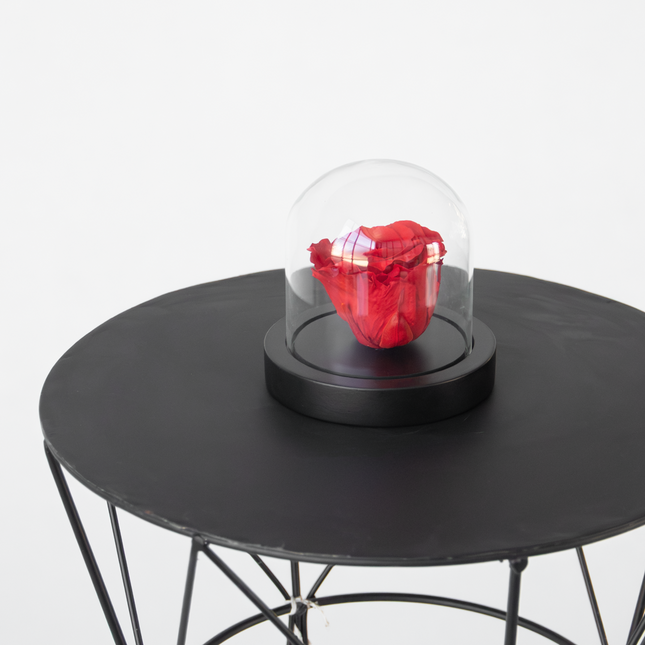 Alleu Rose Rouge Préservée Sous Cloche En Verre - Véritable Rose - Cadeau De Luxe