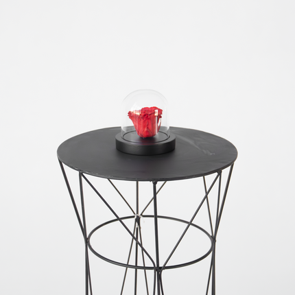 Alleu Rose Rouge Préservée Sous Cloche En Verre - Véritable Rose - Cadeau De Luxe