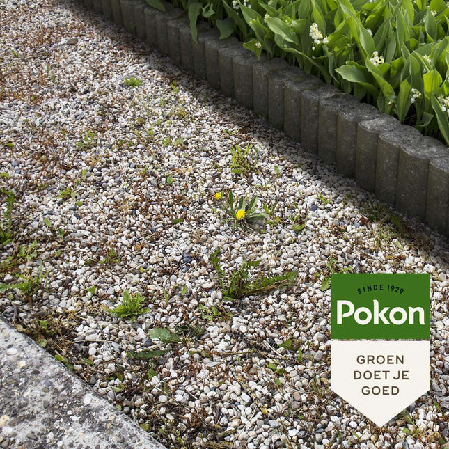Alleu Pokon Concentré Liquide Anti-Mauvaises Herbes - 225Ml