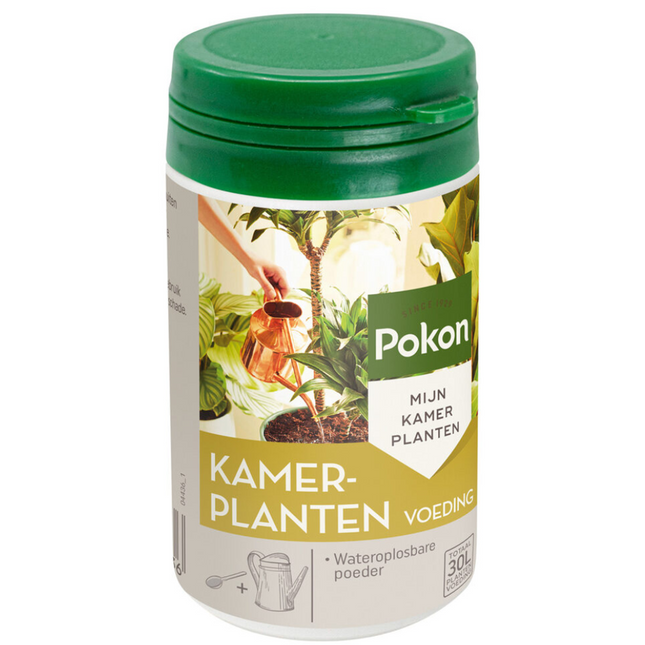 Alleu Pokon Engrais Pour Plantes D’intérieur En Poudre – 100 Grammes