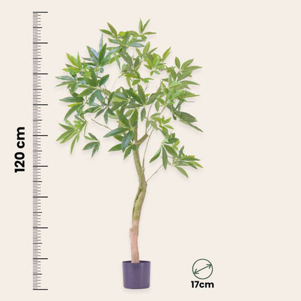 Ookch Pachira Artificiel - Hauteur 120Cm