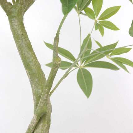 Ookch Pachira Artificiel - Hauteur 120Cm