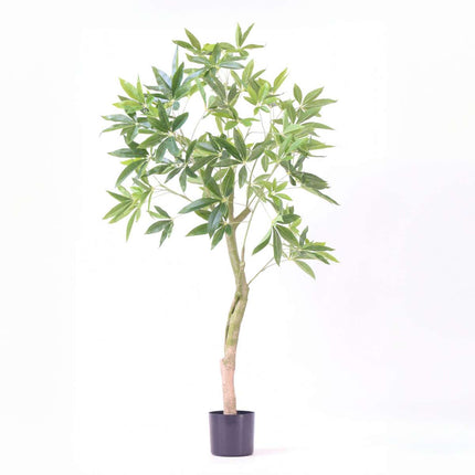 Ookch Pachira Artificiel - Hauteur 120Cm