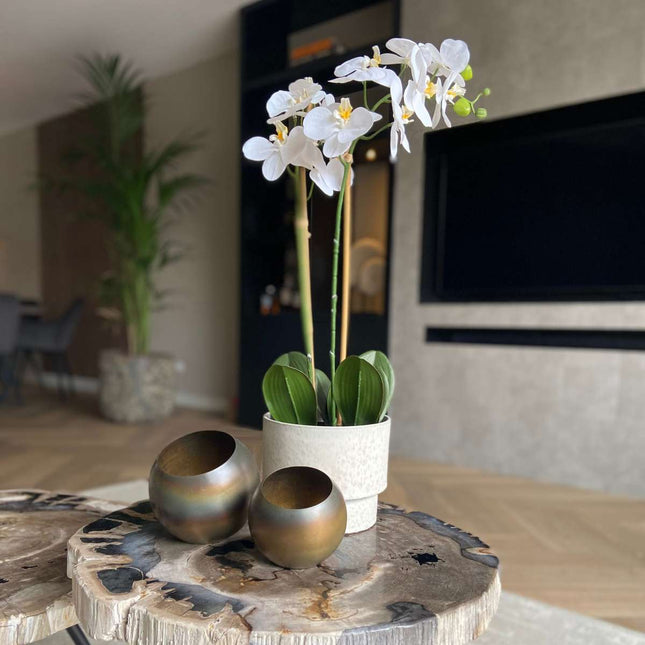 Ookch Orchidée Phalaenopsis Artificielle - Hauteur 55Cm