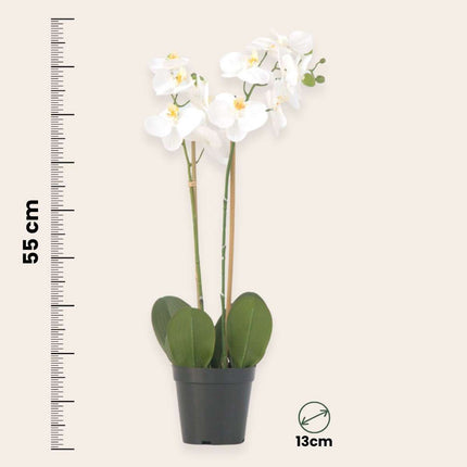 Ookch Orchidée Phalaenopsis Artificielle - Hauteur 55Cm