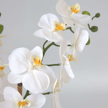 Ookch Orchidée Phalaenopsis Artificielle - Hauteur 55Cm