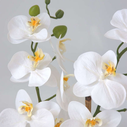 Ookch Orchidée Phalaenopsis Artificielle - Hauteur 55Cm