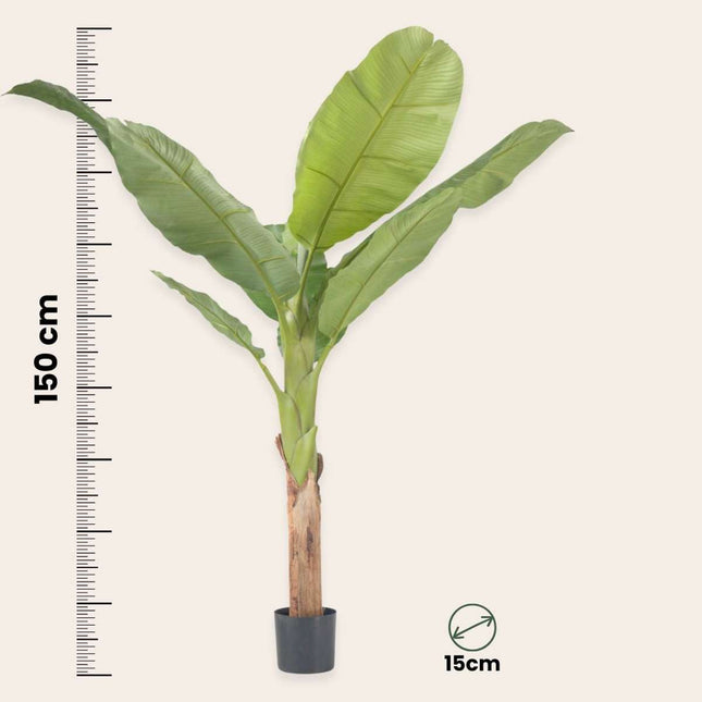 Ookch Bananier Musa Artificiel - Hauteur 150Cm