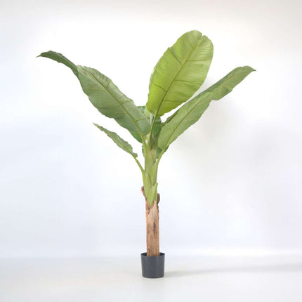 Ookch Bananier Musa Artificiel - Hauteur 150Cm