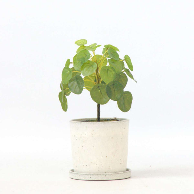 Ookch Pilea Peperomioides Artificiel - Hauteur 30Cm
