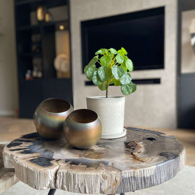 Ookch Pilea Peperomioides Artificiel - Hauteur 30Cm