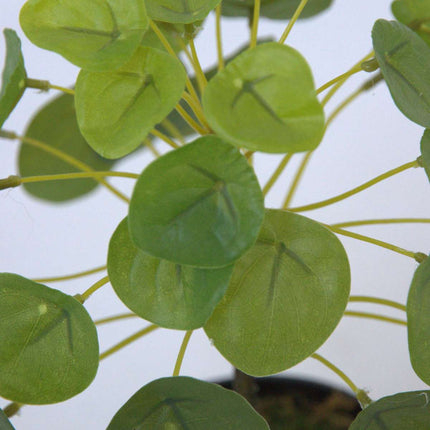 Ookch Pilea Peperomioides Artificiel - Hauteur 30Cm
