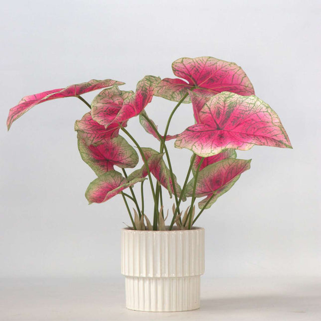 Ookch Caladium Artificiel - Hauteur 60Cm