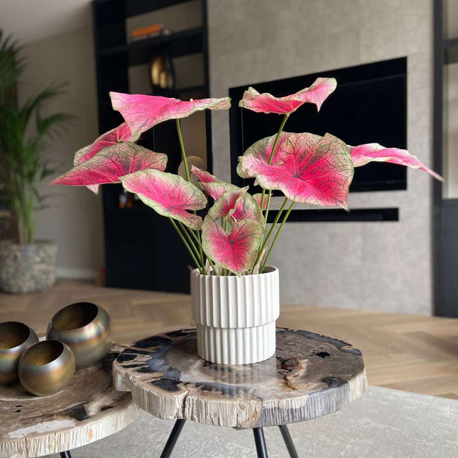 Ookch Caladium Artificiel - Hauteur 60Cm