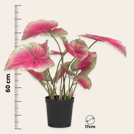 Ookch Caladium Artificiel - Hauteur 60Cm