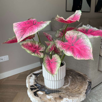 Ookch Caladium Artificiel - Hauteur 60Cm