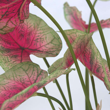 Ookch Caladium Artificiel - Hauteur 60Cm