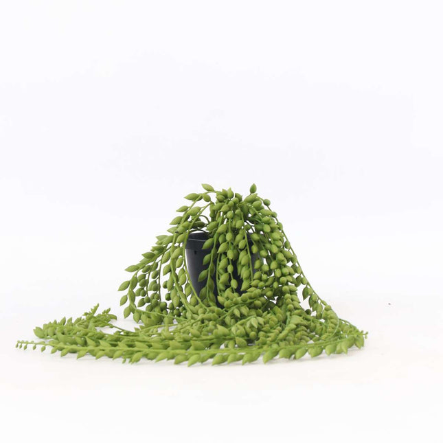 Ookch Senecio Artificiel - Hauteur 90Cm