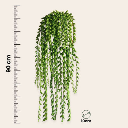 Ookch Senecio Artificiel - Hauteur 90Cm