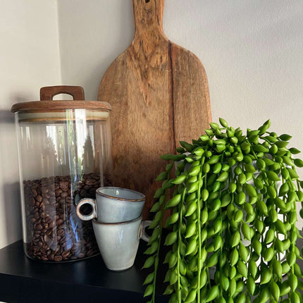 Ookch Senecio Artificiel - Hauteur 90Cm