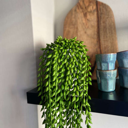 Ookch Senecio Artificiel - Hauteur 90Cm