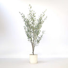 Ookch Olivier Artificiel - Hauteur 150Cm