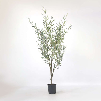 Ookch Olivier Artificiel - Hauteur 150Cm