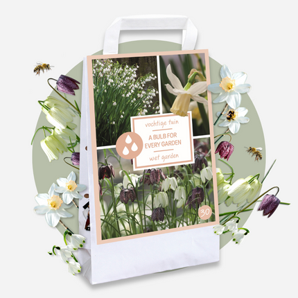 Ookch Coffret Jardin Humide - 30 Bulbes Pour Endroits Humides Et Pluvieux