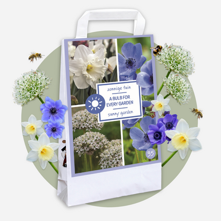 Ookch Bulbes - 30 Pièces - Coffret Sunny Garden - Anémone, Allium, Narcisse