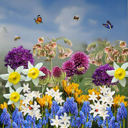 Ookch Bulbes À Fleurs Pour Insectes - Mélange De 50 - Attire Abeilles & Papillons