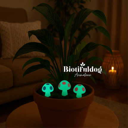 Glow In The Dark - Mushrooms -Champignons phosphorescents-Multi - ↑ 2 Cm - 8 Pcs