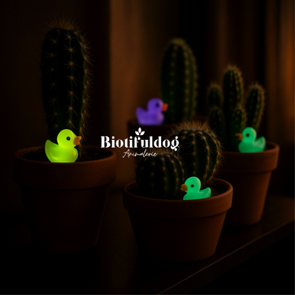 Glow In The Dark - Canards - Multi - ↑ 2 Cm - 7 Pcs