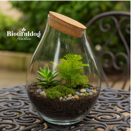 Terrarium With Cork en forme de goutte - Drop Xxl - Closed Terrarium Bottle ↑ 43 Cm