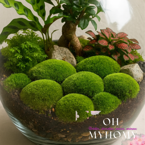 Mousse naturelle - Green & Fresh